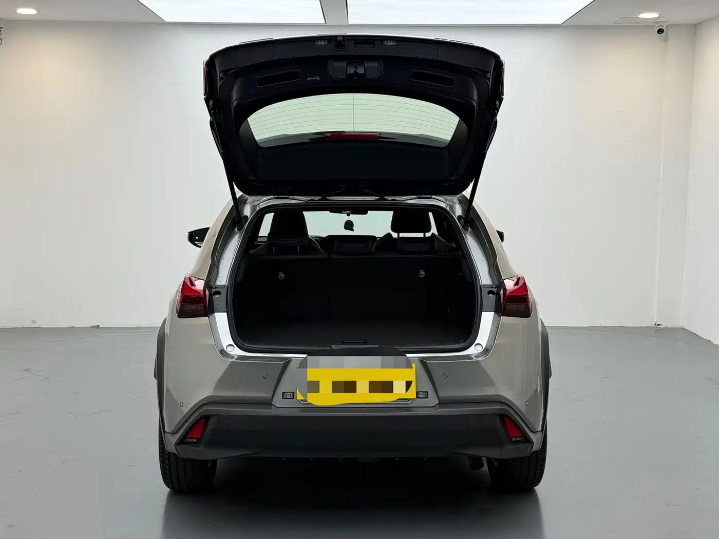 Lexus UX 2021 2020 260h Explore Fun Edition