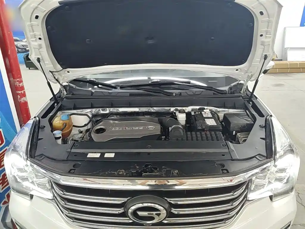 GAC Trumpchi Trumpchi GS8 2017 320T 2WD Luxury Smart Connect (7-seater) фото 20