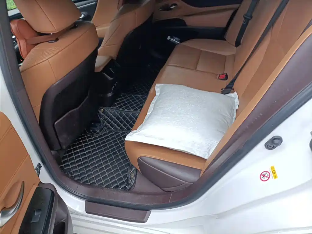 Lexus ES 2018 200 Excellence Edition China V фото 15