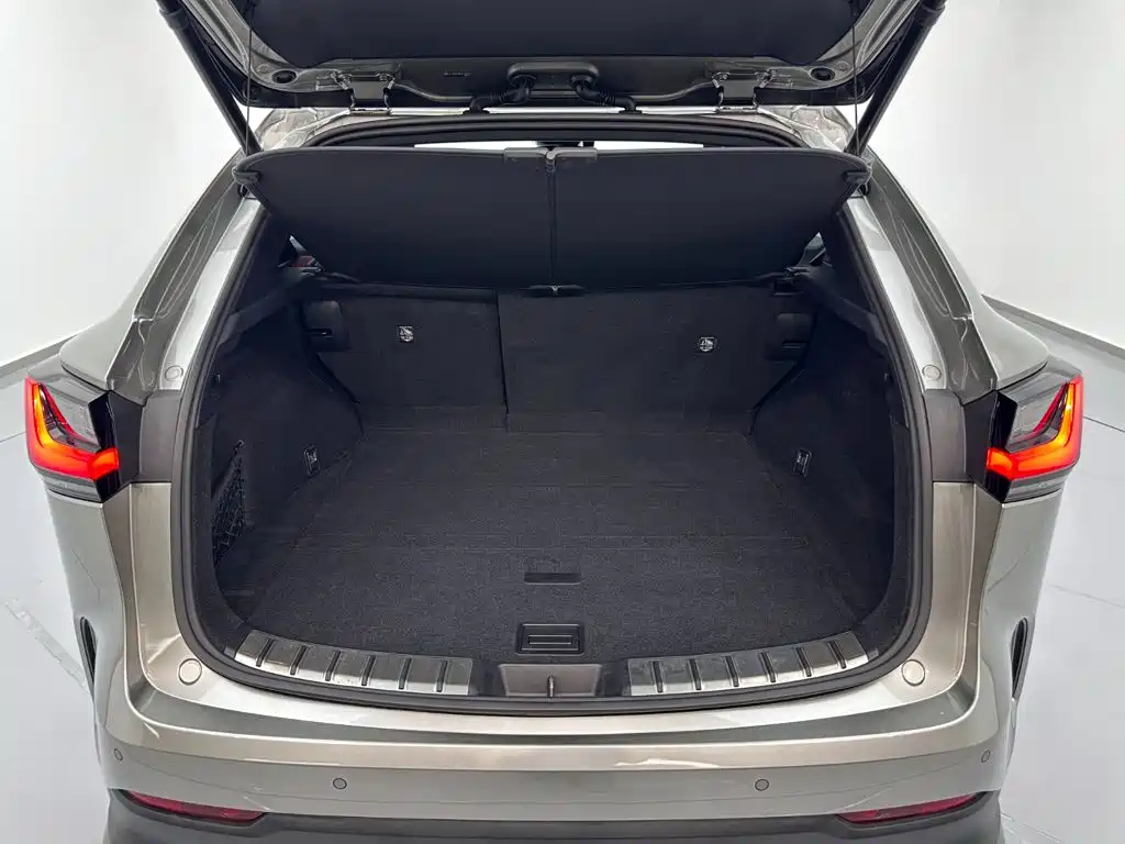 Фото 28 - Lexus NX