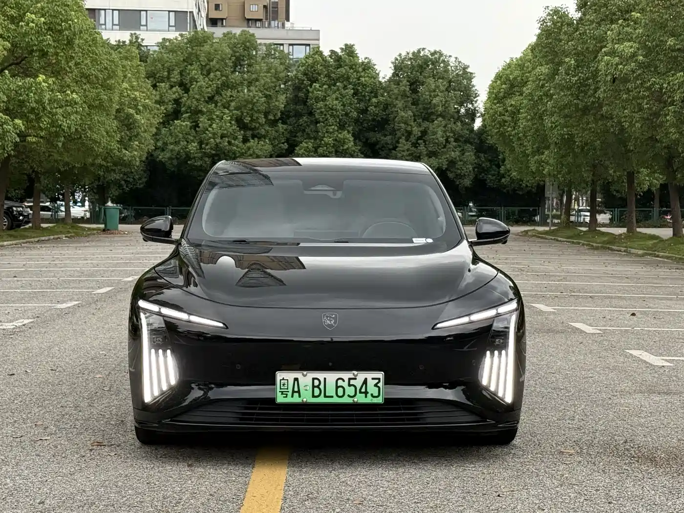 Dongfeng Fengxing Stellar S7 2025 2024 555 Luxury Edition