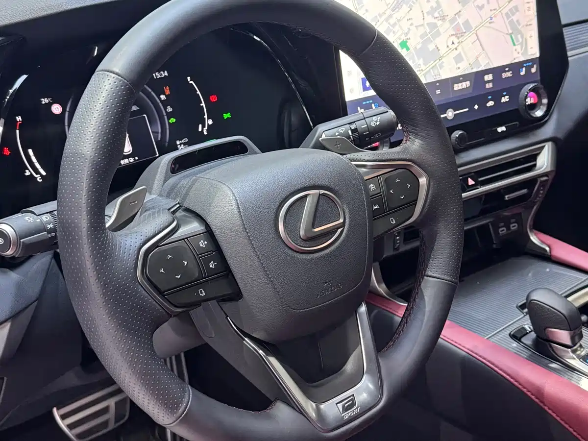 LEXUS RX