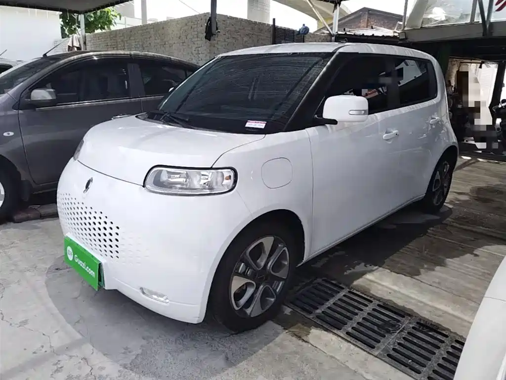 Ora White Cat 2020 305km Luxury