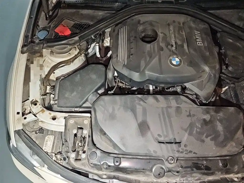 BMW 3 Series 2018 320Li Leading M Sport Package фото 21