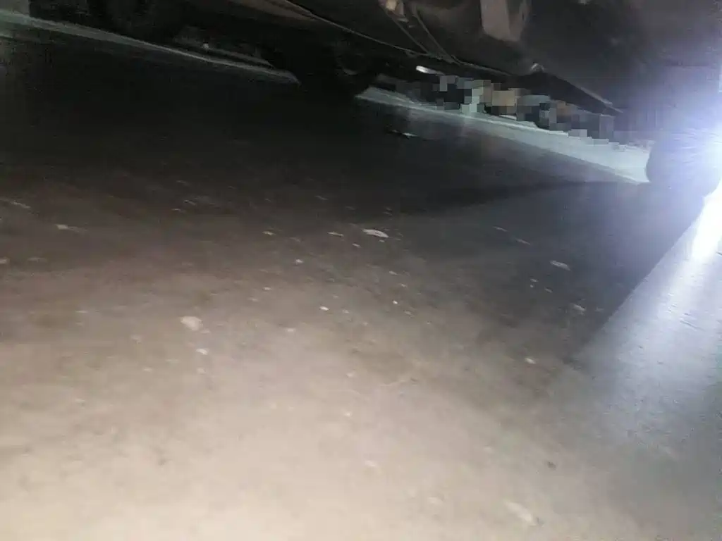 Фото 8 - Buick Envision Plus