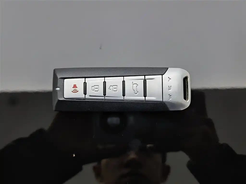 WEI PAI WEI BRAND VV6