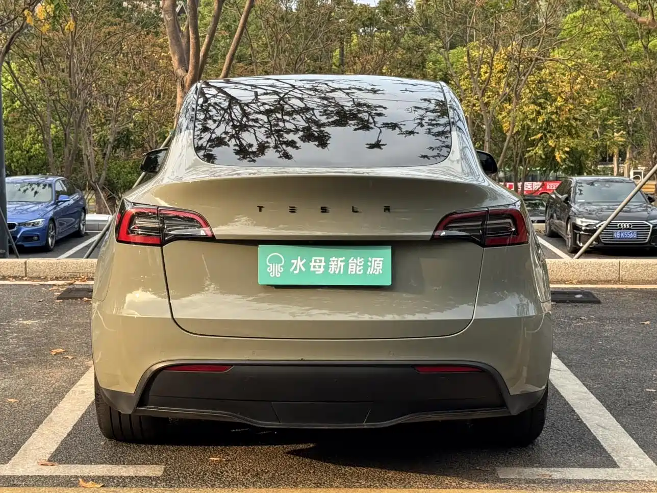 TESLA MODEL Y
