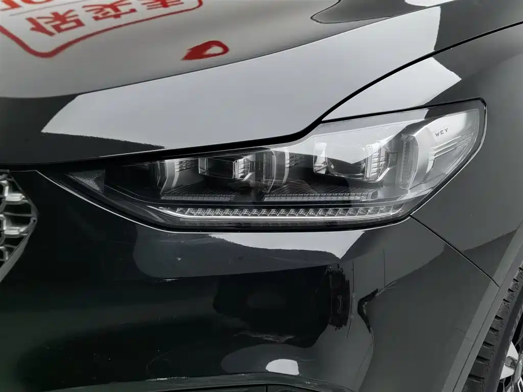 WEI PAI WEI BRAND VV6