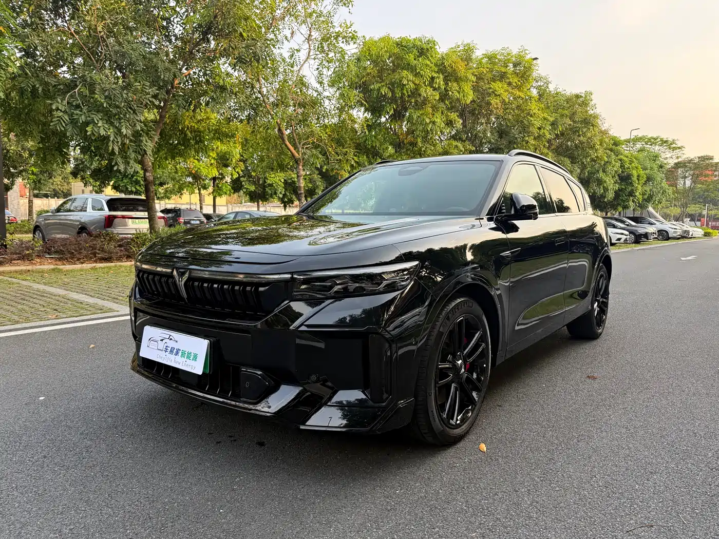 Voyah Auto VOYAH FREE 2025 318 318km RWD Touring Edition
