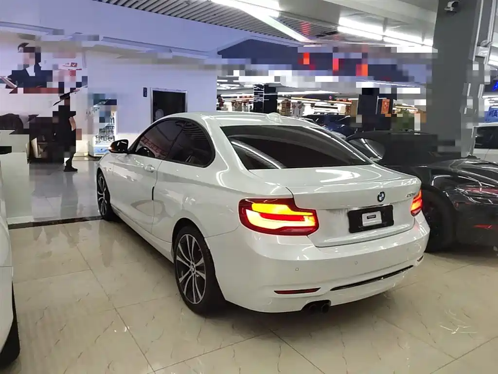 BMW 2 Series (Import) 2019 225i Sport Design Package фото 5