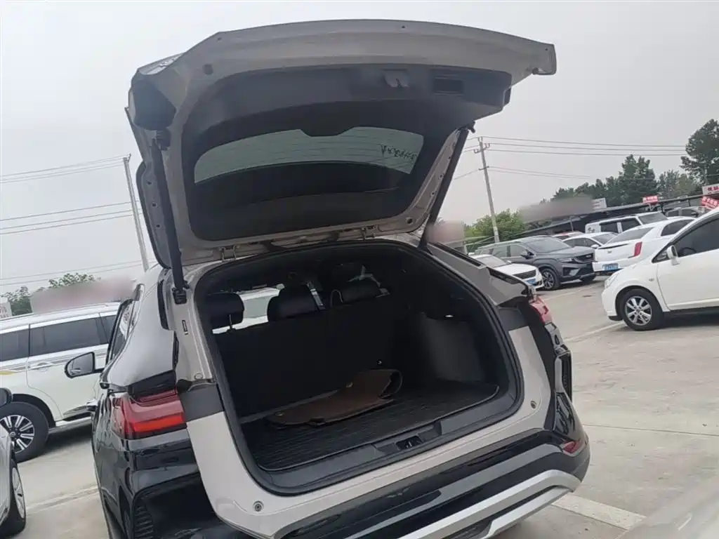 BYD Song PLUS PHEV 2023 Champion Edition DM-i 150KM Flagship PLUS фото 19
