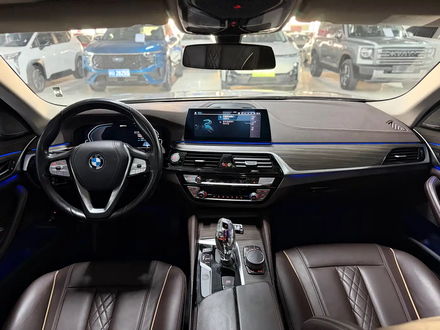 BMW 5 Series New Energy 2020 530Le Luxury Package фото 9