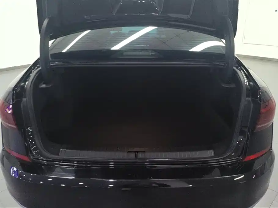 Volkswagen Passat 2022 330TSI Starlight Elite Edition фото 4