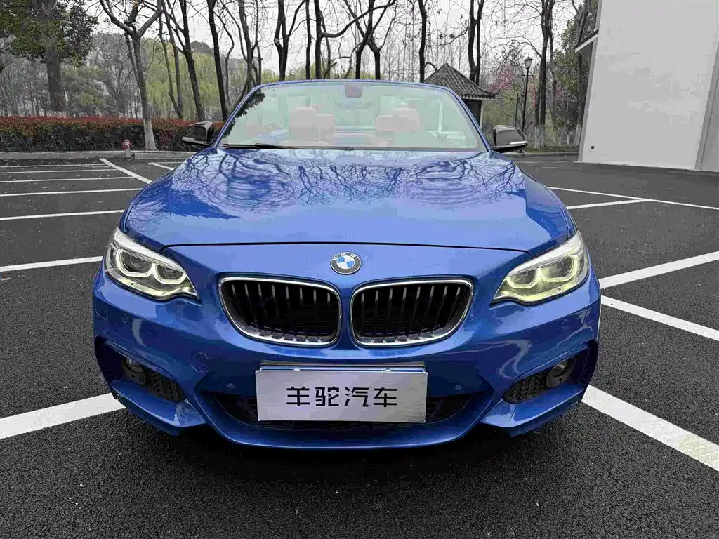 BMW 2 Series (Import) 2015 220i Convertible Coupe M Sport