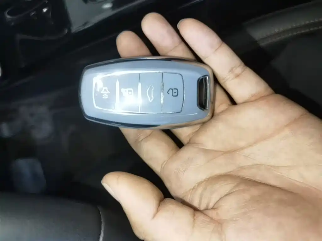 Haval Big Dog 2022 1.5T DCT FWD Border Collie Edition фото 9
