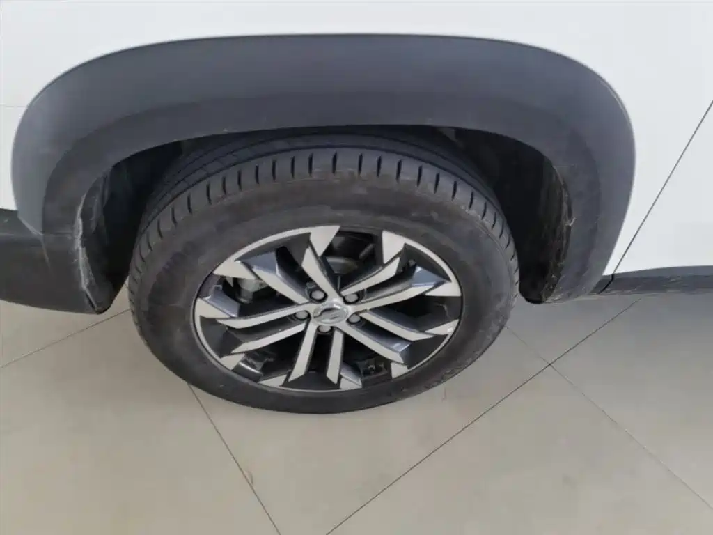 Haval Big Dog 2022 1.5T DCT FWD Border Collie Edition фото 23