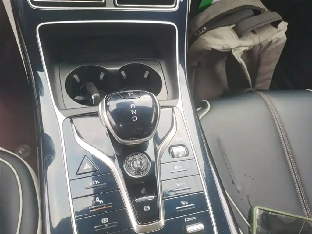 BYD Qin PLUS 2021 EV 500KM Premium Model фото 14