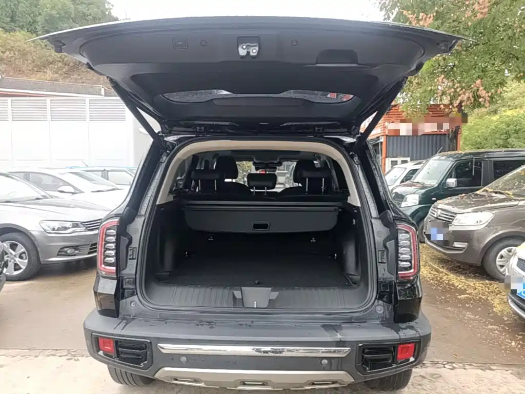 Photo 19 - Haval Dargo