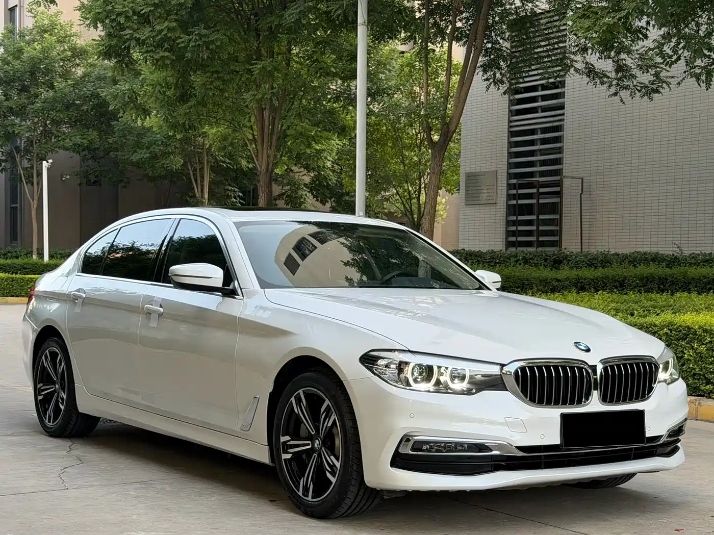 BMW 5 Series 2019 530Li xDrive Luxury Package фото 3