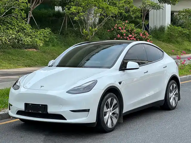 Tesla Model Y 2021 Long Range All-Wheel Drive 3D7