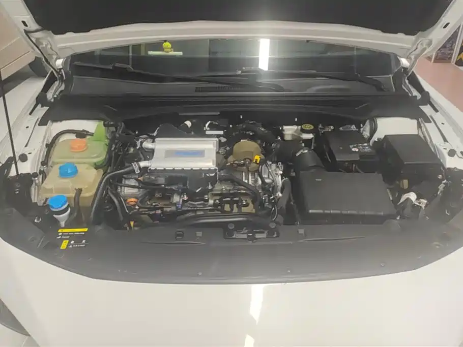 GAC Trumpchi Trumpchi Emkoo 2021 270T DCT J16 Edition фото 10