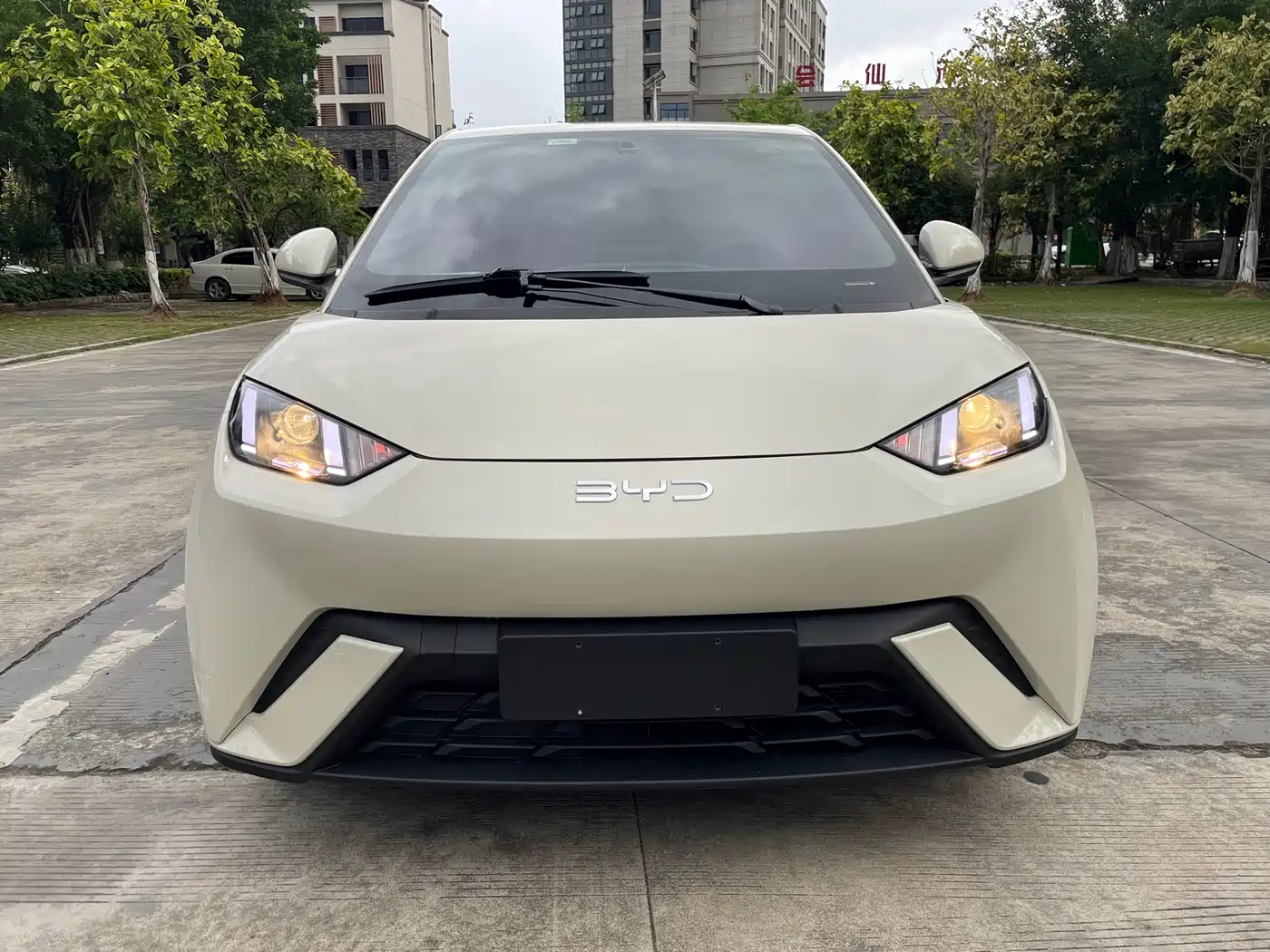 BYD Seagull 2024 Glory Edition 305km Vitality Edition фото 2