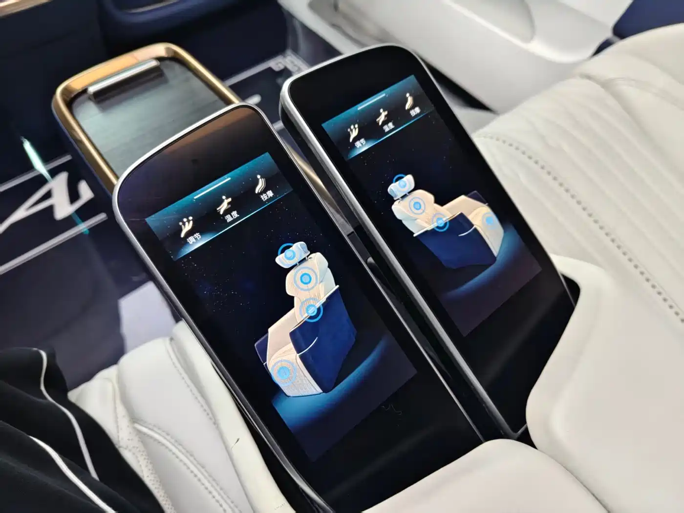 Buick GL8 2020 Avenir Four-Seat Prestige Edition фото 29