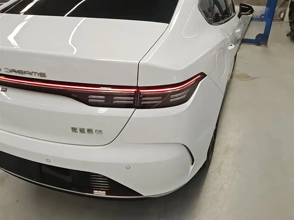 BYD Destroyer 05 2024 Glory Edition DM-i 55KM Luxury фото 8