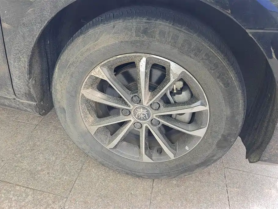 BYD Qin PLUS 2023 Champion Edition DM-i 55KM Leading фото 6
