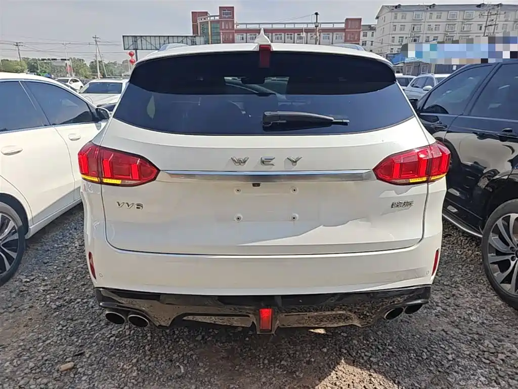 Фото 6 - WEY VV6