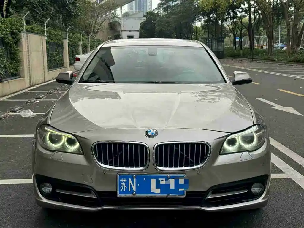 BMW 5 Series 2014 520Li Elegance фото 3