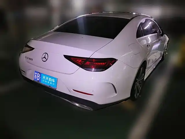 Mercedes-Benz CLS 2018 CLS 300 Dynamic — фото 2