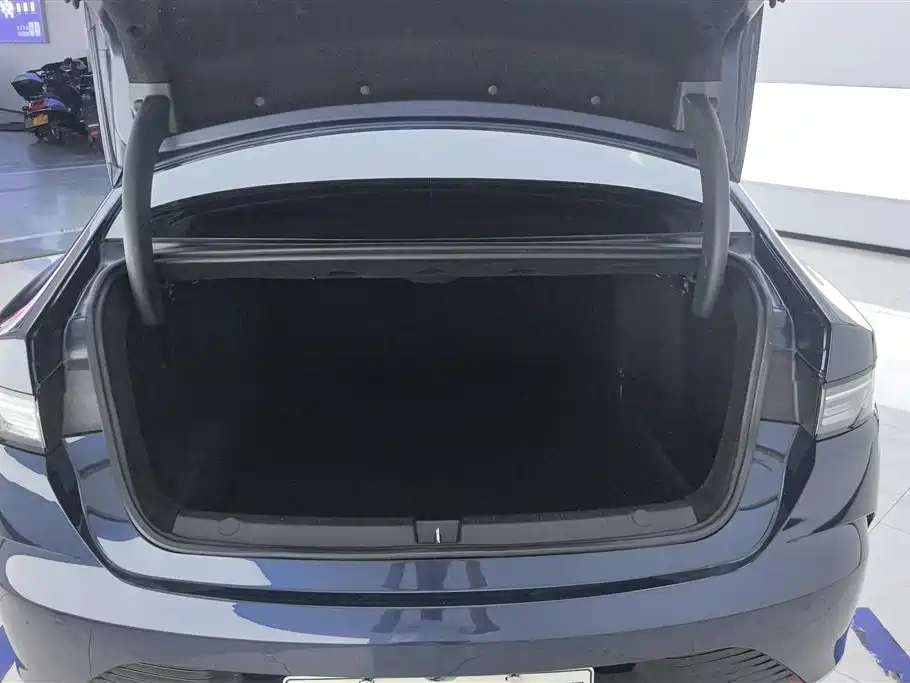 BYD Destroyer 05 2024 Glory Edition DM-i 55KM Luxury фото 4