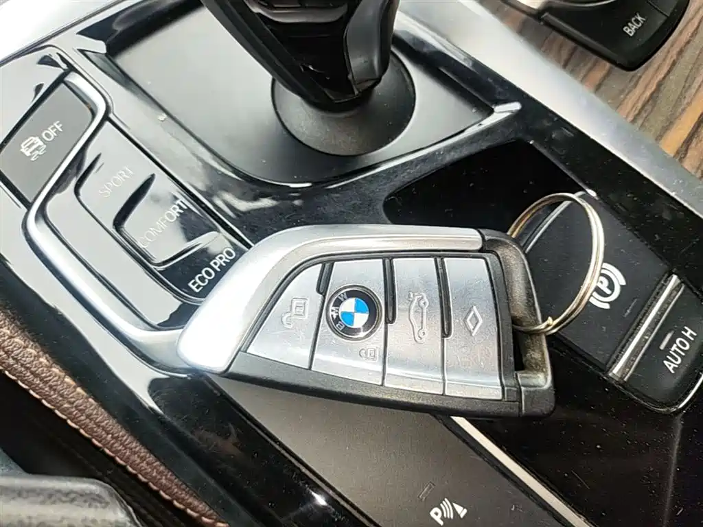 BMW 5 Series 2018 Facelift 530Li xDrive Luxury Package фото 8