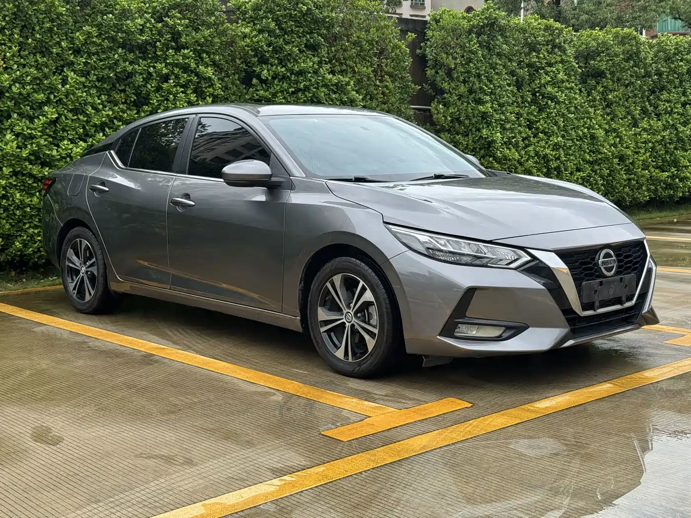 Фото 3 - Nissan Sylphy