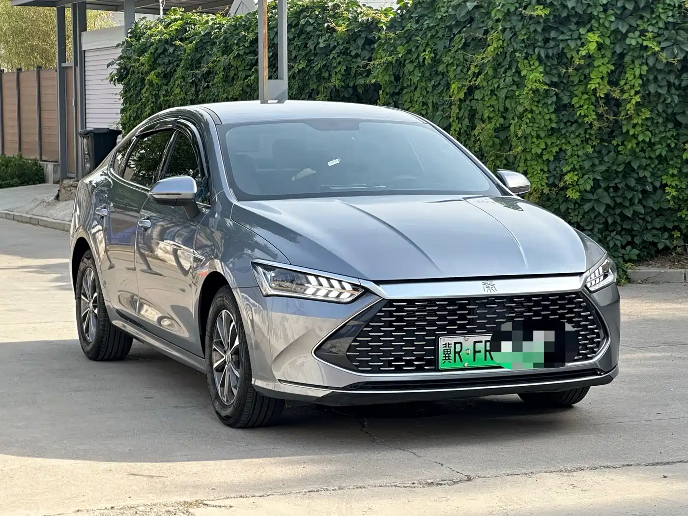 BYD Qin PLUS 2024 Glory Edition DM-i 55KM Leading фото 3