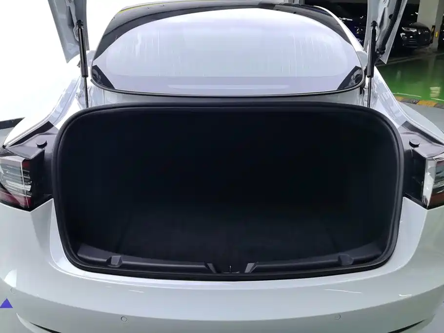 Tesla Model 3 2020 2020 Standard Range Rear-Wheel Drive Upgrade