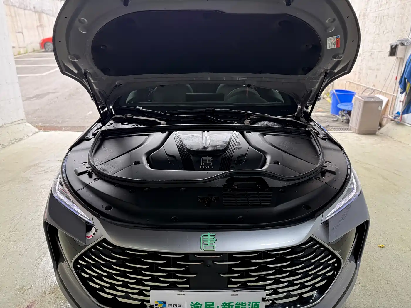 BYD Tang New Energy 2025 DM-i 115KM Premium фото 14