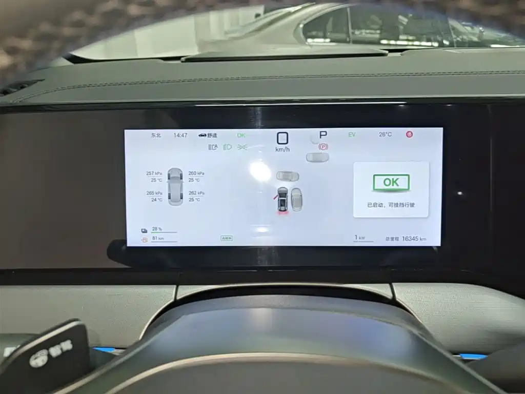 BYD Song L DM-i 2025 Smart Drive Edition 112km Surpassing фото 12