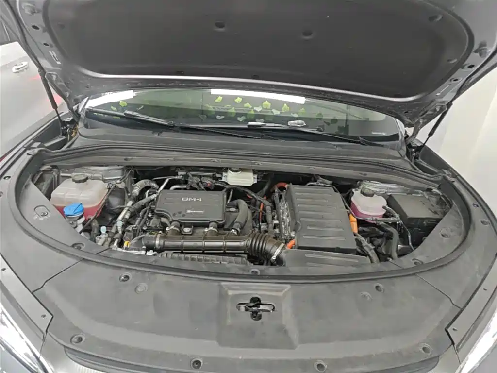 BYD Song L DM-i 2025 Smart Drive Edition 112km Surpassing фото 20