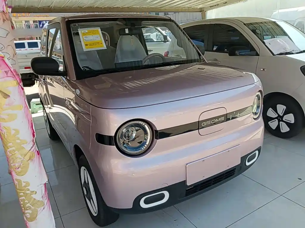 Geely Galaxy Panda 2026 2025 Panda mini 210km Vitality Bear