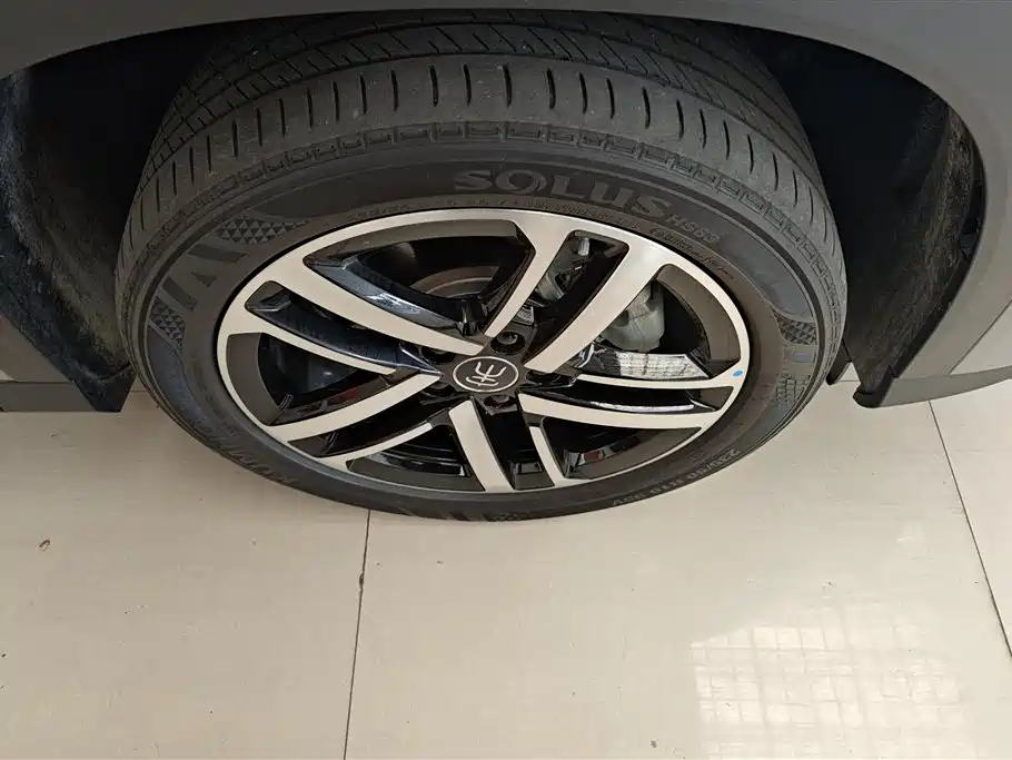 BYD Song L DM-i 2024 112km Leading Edition фото 6