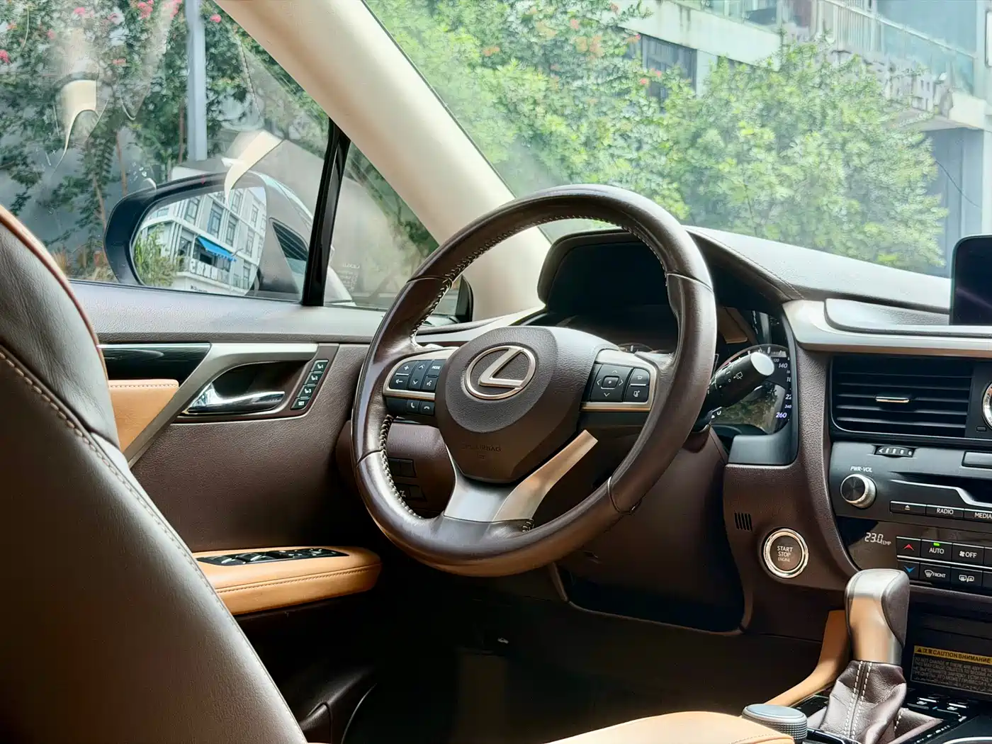 LEXUS RX