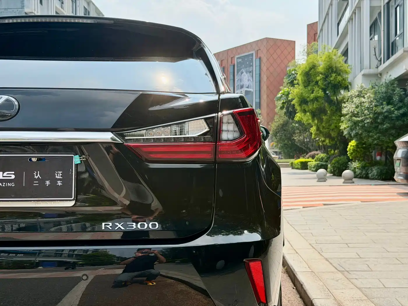 LEXUS RX