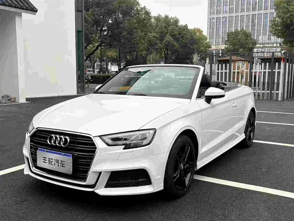 Audi A3 (Import) 2017 Cabriolet 40 TFSI фото 2