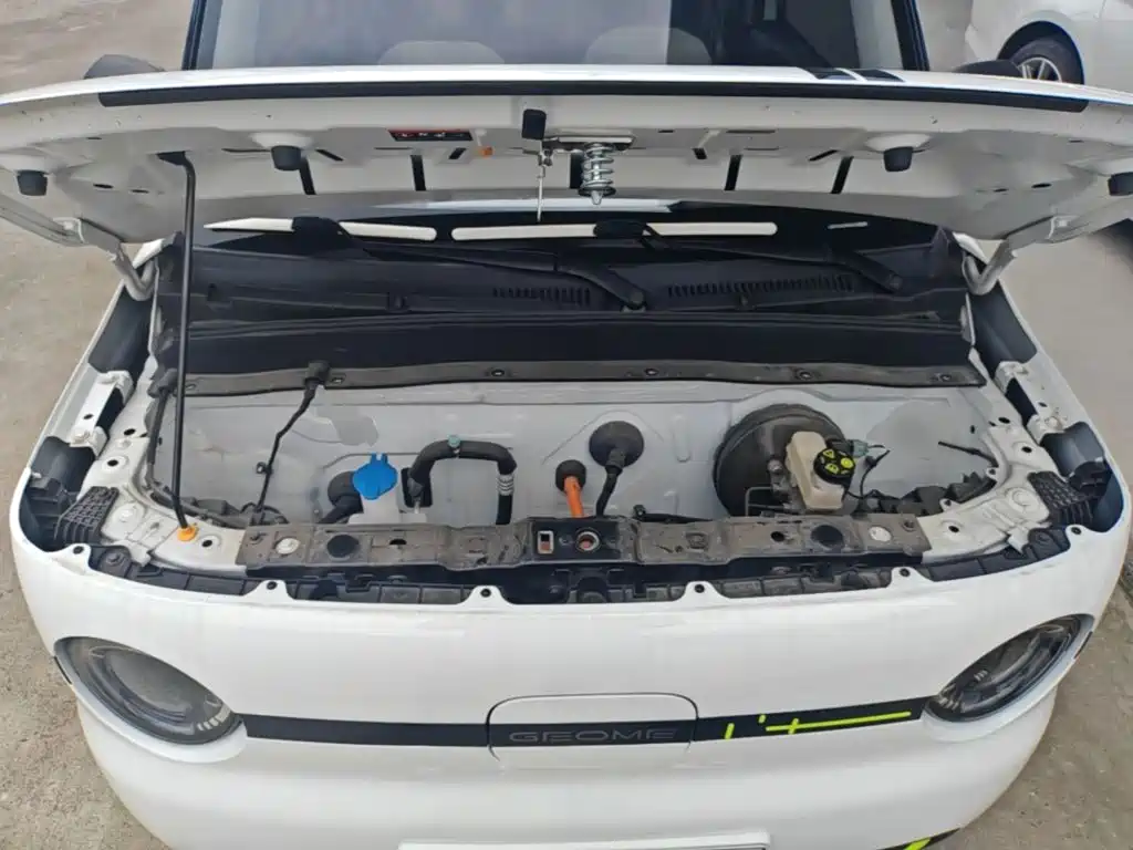 Geely Galaxy Panda 2025 2025 Panda mini 210km Vitality Bear