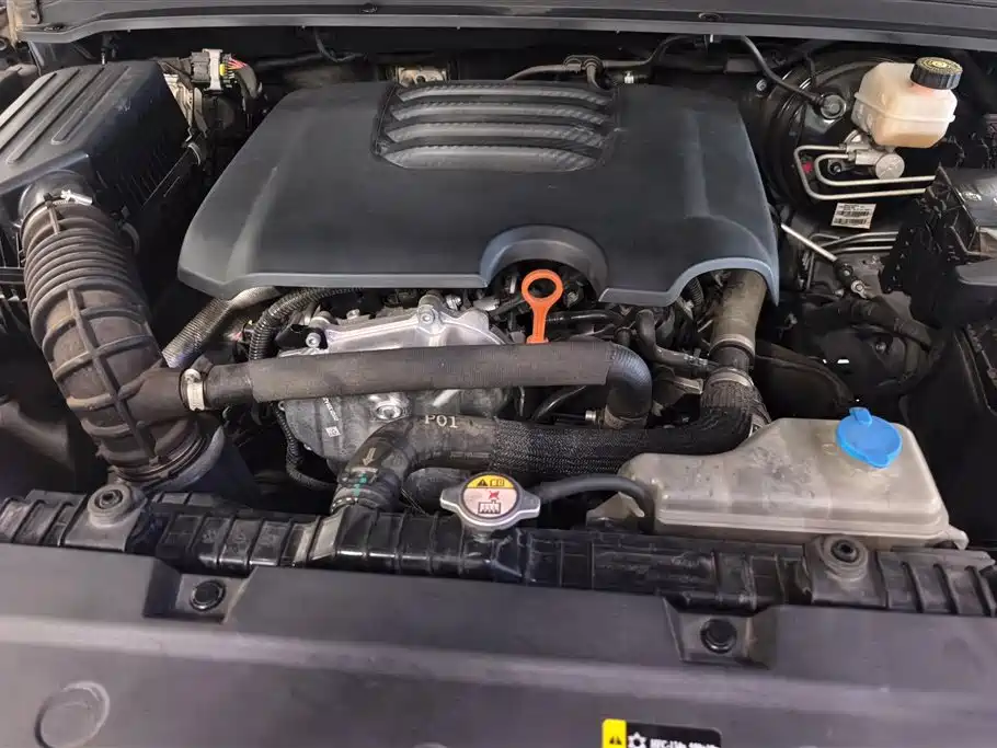 Tank 300 2021 Off-road Edition 2.0T Challenger фото 10