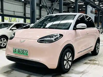 Wuling Bingo