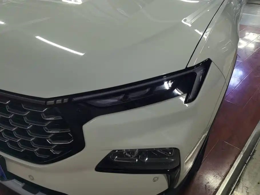 Ford Lingrui 2022 2022 EcoBoost 170 Platinum