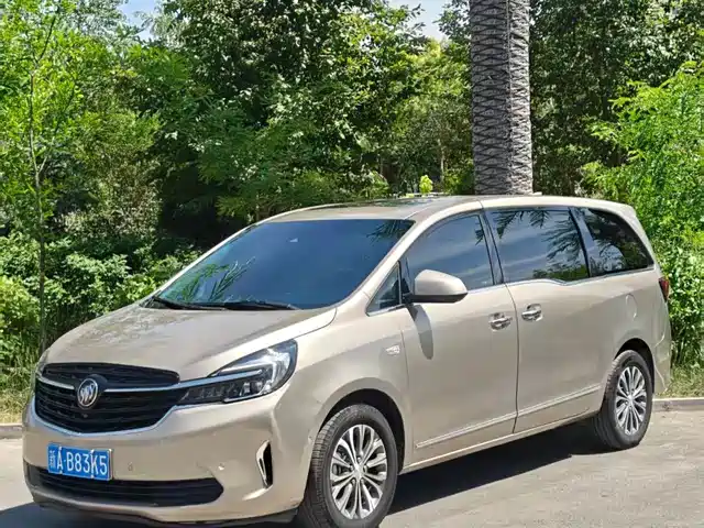 Buick GL8 Бизнес-класс, 652T, Премиум